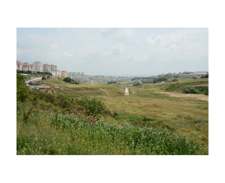 Beylikdüzü Belediyesi Yaşam Vadisi, Köprü ve Bağlantıları Yarışması